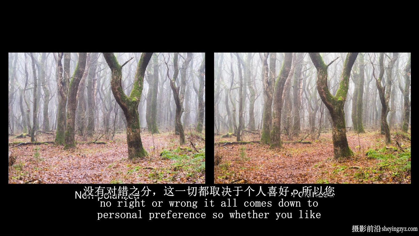 Mads Peter Iversen-林地森林风光摄影构图及后期修图教程-中英字幕