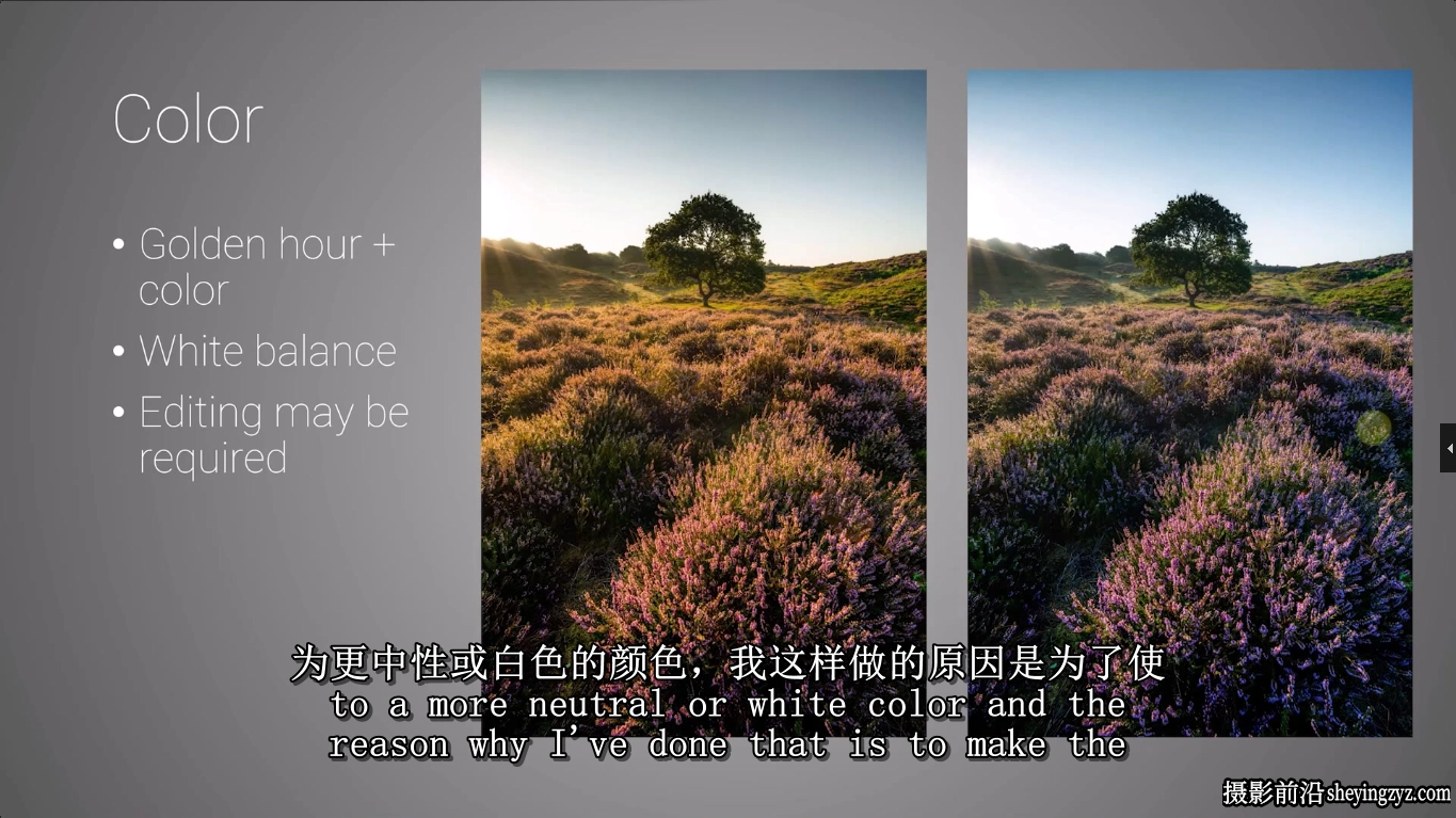 Mads Peter Iversen-林地森林风光摄影构图及后期修图教程-中英字幕