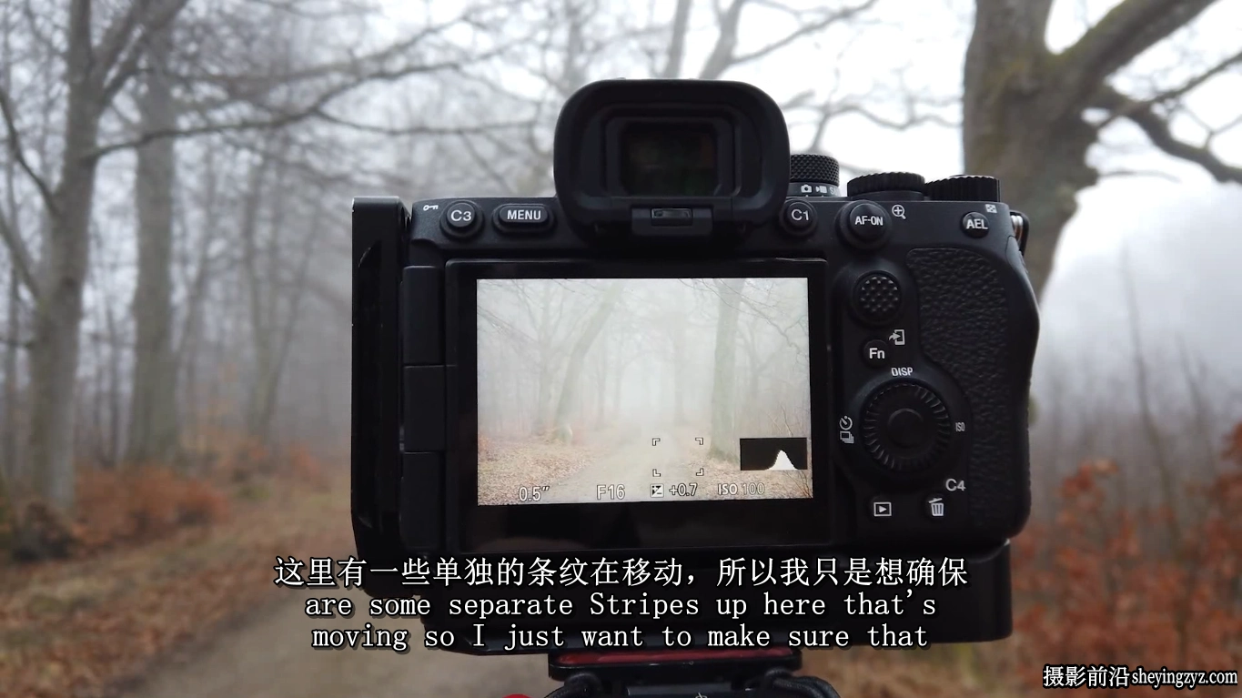 Mads Peter Iversen-林地森林风光摄影构图及后期修图教程-中英字幕