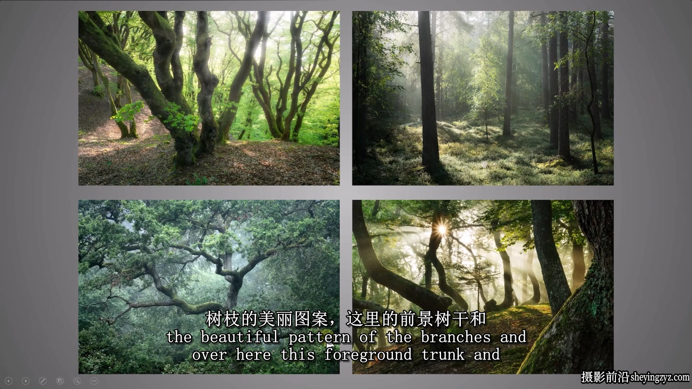Mads Peter Iversen-林地森林风光摄影构图及后期修图教程-中英字幕