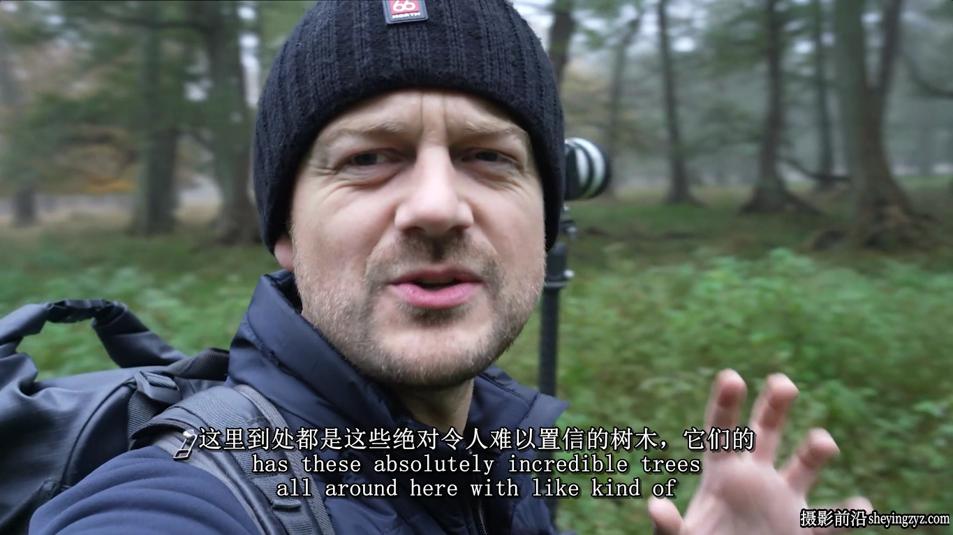 Mads Peter Iversen-林地森林风光摄影构图及后期修图教程-中英字幕