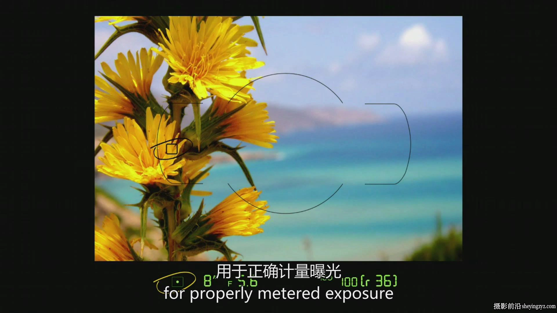 kelbyone–Larry Becker充分掌握尼康D800指南教程-中英字幕