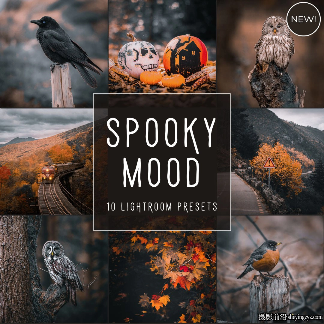 魔幻秋季电影风光调色LR预设ACR预设 Spooky Mood LIMITED Presets