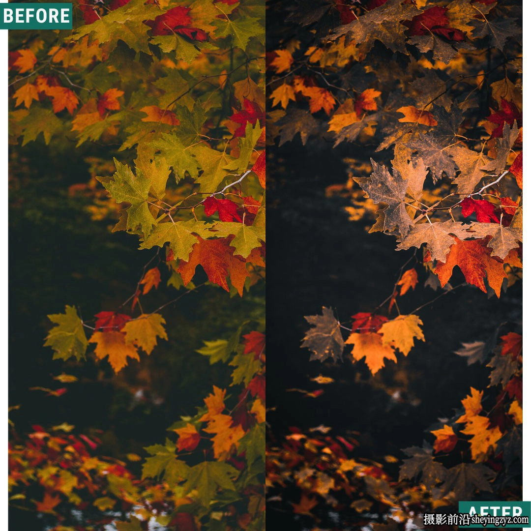 魔幻秋季电影风光调色LR预设ACR预设 Spooky Mood LIMITED Presets
