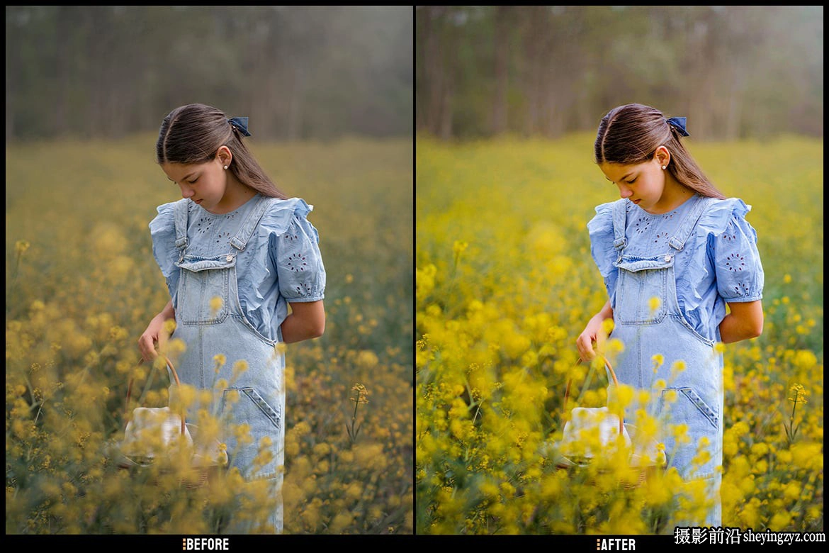 免费LR预设梦想电影色彩LR预设 Pastel Dream-Lightroom Presets