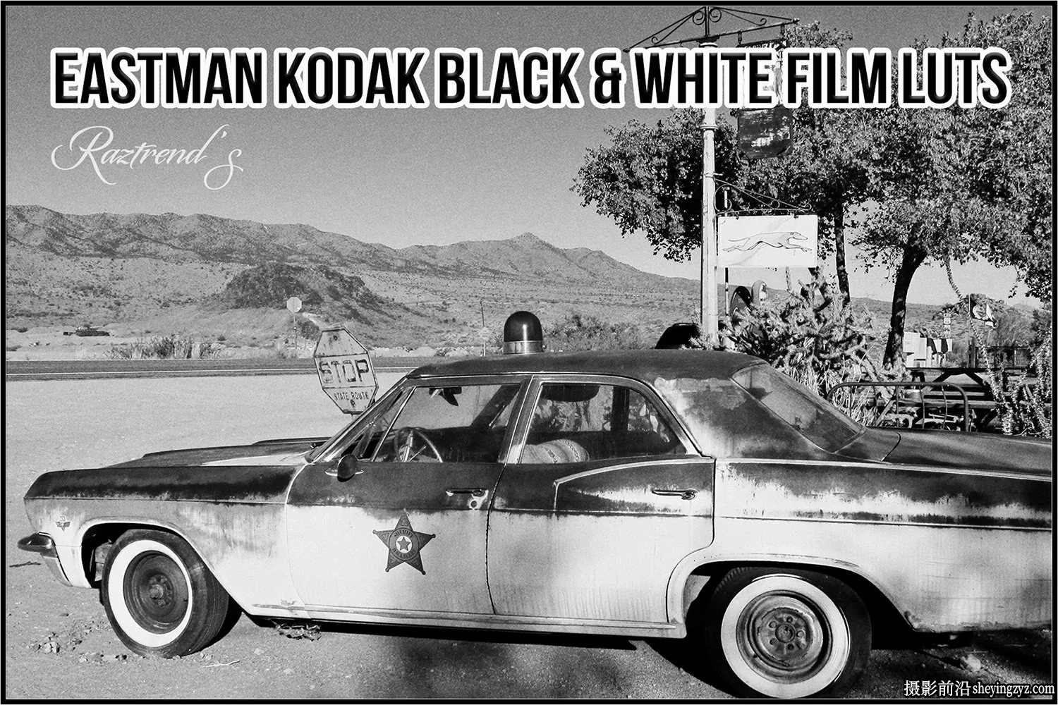 伊士曼柯达黑白胶片LUT预设Eastman Kodak Black White Films LUTs