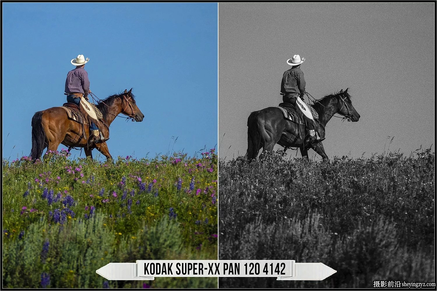 伊士曼柯达黑白胶片LUT预设Eastman Kodak Black White Films LUTs