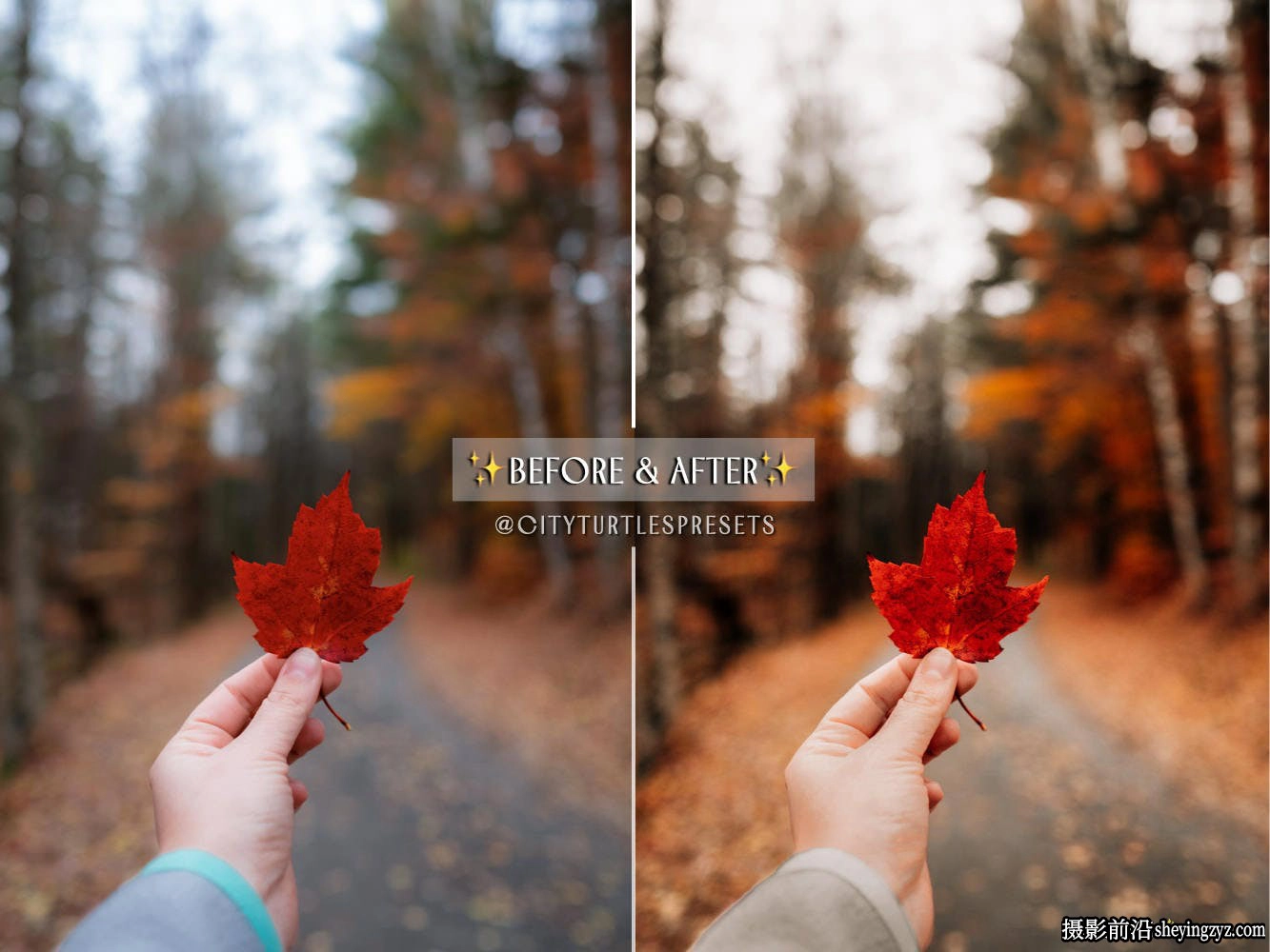 温暖秋季电影色彩Lightroom预设手机LR预设 FALL Lightroom Presets