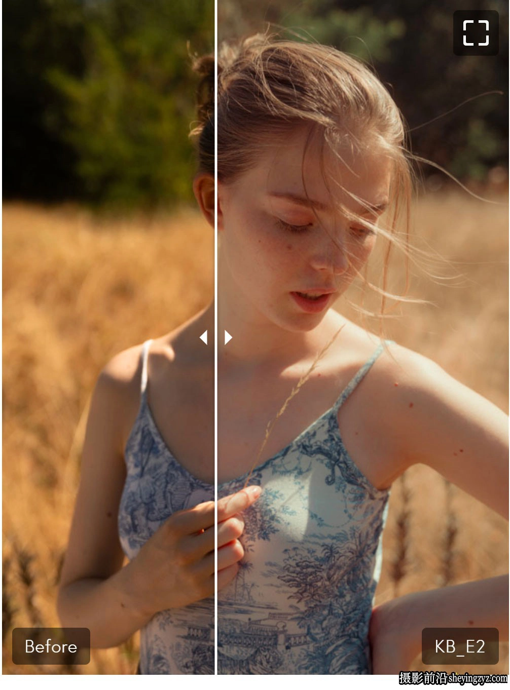 《极乐世界》电影胶片人像LR预设 Kai Boettcher Elysium Preset