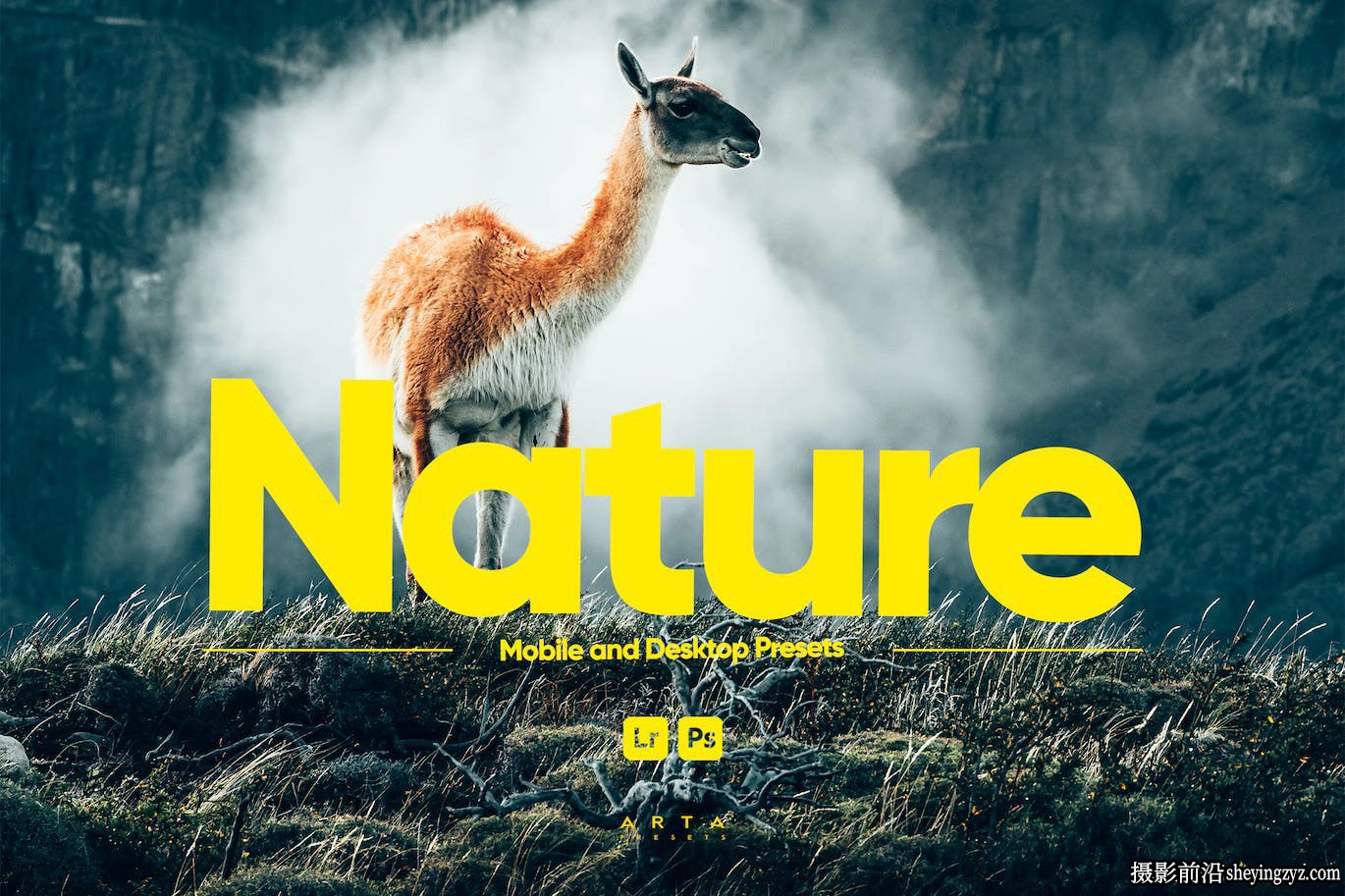 免费LR预设自然风光LR预设ACR预设 ARTA Presets-Nature Presets