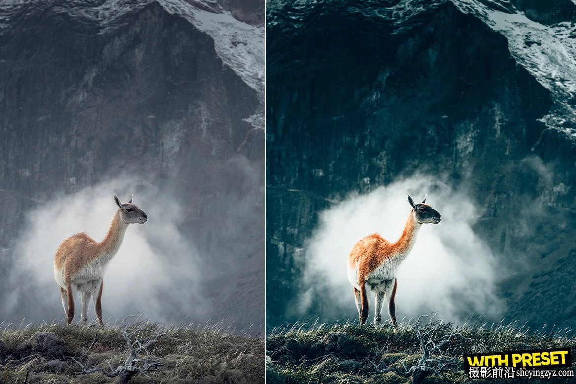 免费LR预设自然风光LR预设ACR预设 ARTA Presets-Nature Presets