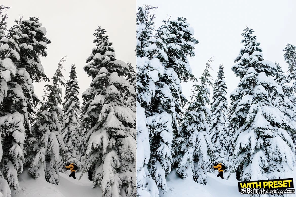 免费LR预设自然风光LR预设ACR预设 ARTA Presets-Nature Presets