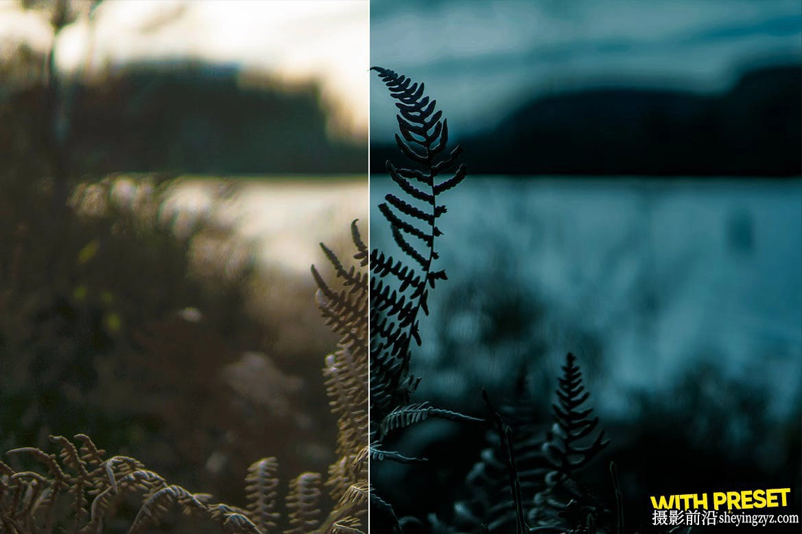 免费LR预设黑暗情绪旅行风光LR预设ARTA Presets-Northteal Presets
