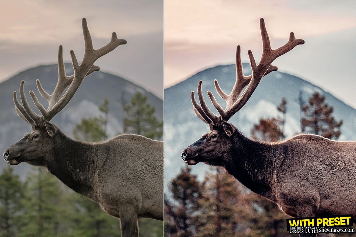 城市电影风光LLR预设ACR调色预设 ARTA Presets-Sweden Presets