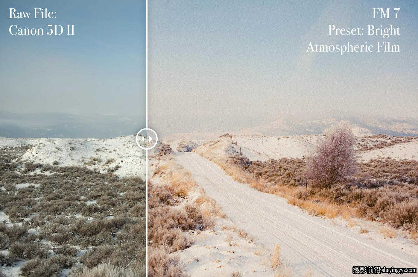 电影胶片仿真模拟LR预设 Forrest Mankins -FM7 Lightroom Preset