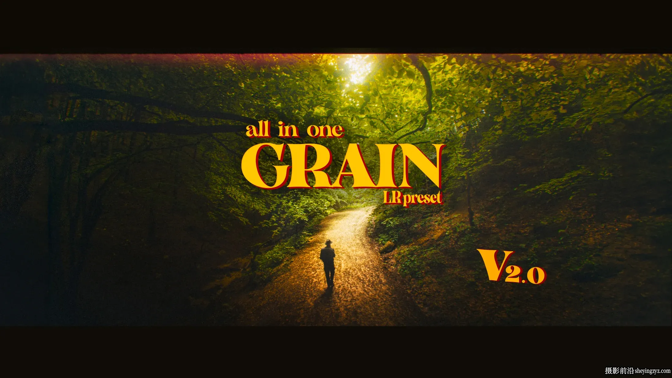 一体化电影仿真胶片LR预设 Vmoldo - All in one Grain 2.0 presets