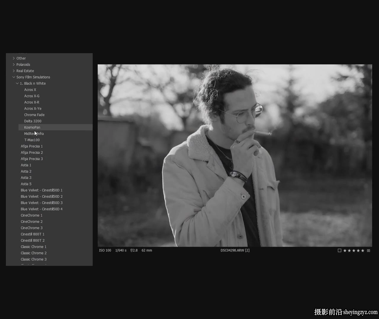 Veres Deni Alex 索尼电影仿真Capture one预设Sony Film Simulations
