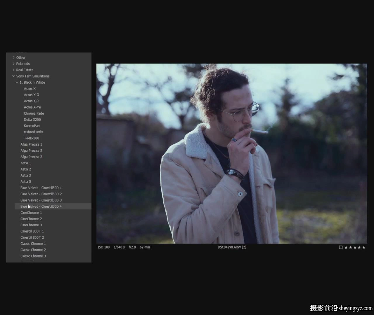 Veres Deni Alex 索尼电影仿真Capture one预设Sony Film Simulations