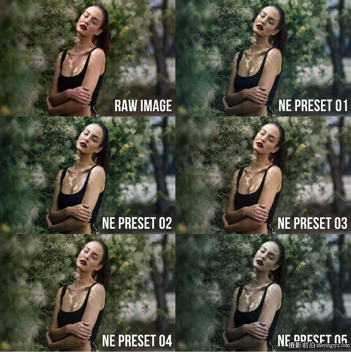Nathan Elson - Lightroom Presets + Profiles Collection v4