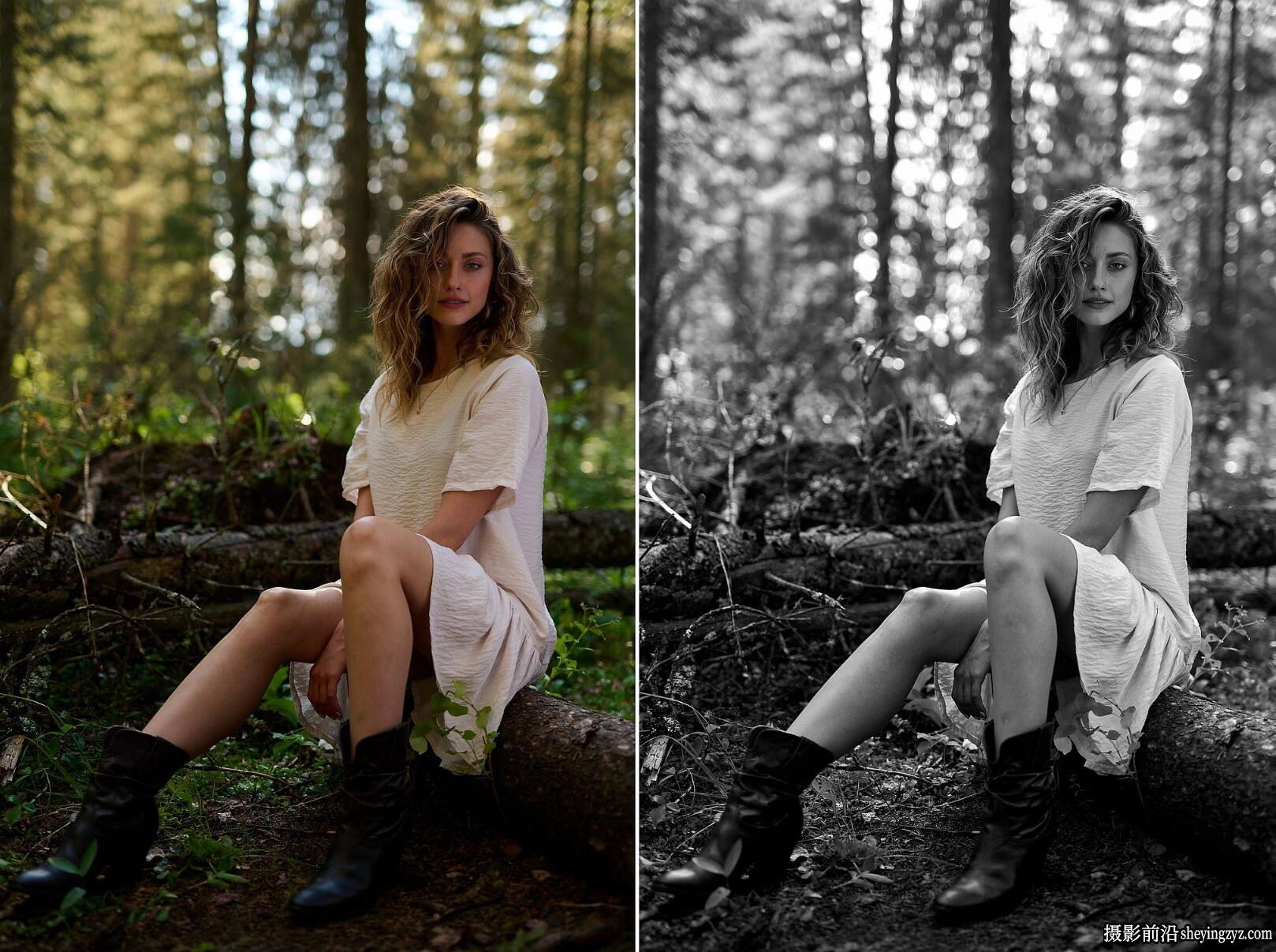 Nathan Elson - Lightroom Presets + Profiles Collection v4