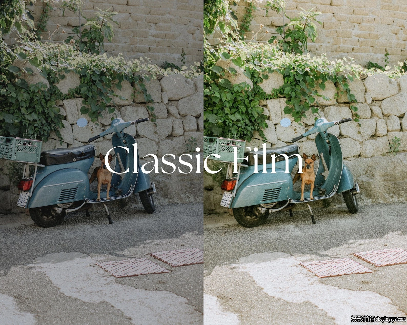 50MM+35MM电影胶片仿真LR预设FilAndEllieStudio-50+35MMLightroom
