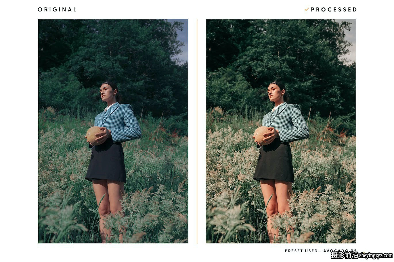 绿棕色电影胶片LR预设ACR调色预设 Avocado – Actions &amp; Presets