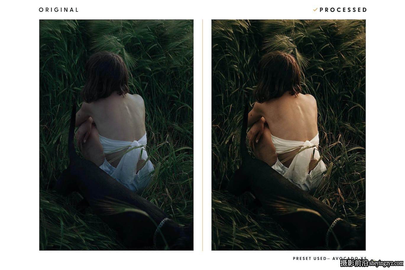 绿棕色电影胶片LR预设ACR调色预设 Avocado – Actions &amp; Presets