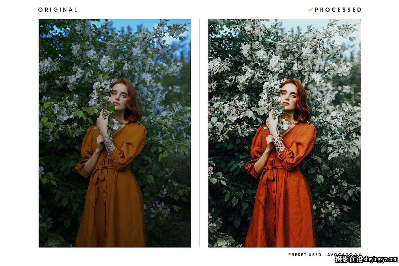 绿棕色电影胶片LR预设ACR调色预设 Avocado – Actions &amp; Presets