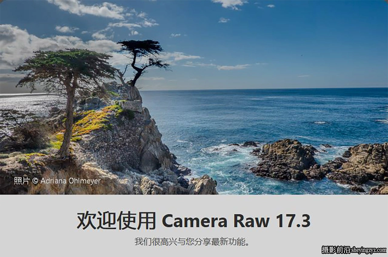 Adobe Camera Raw 17.3 正式版WIN系统x64一键安装版
