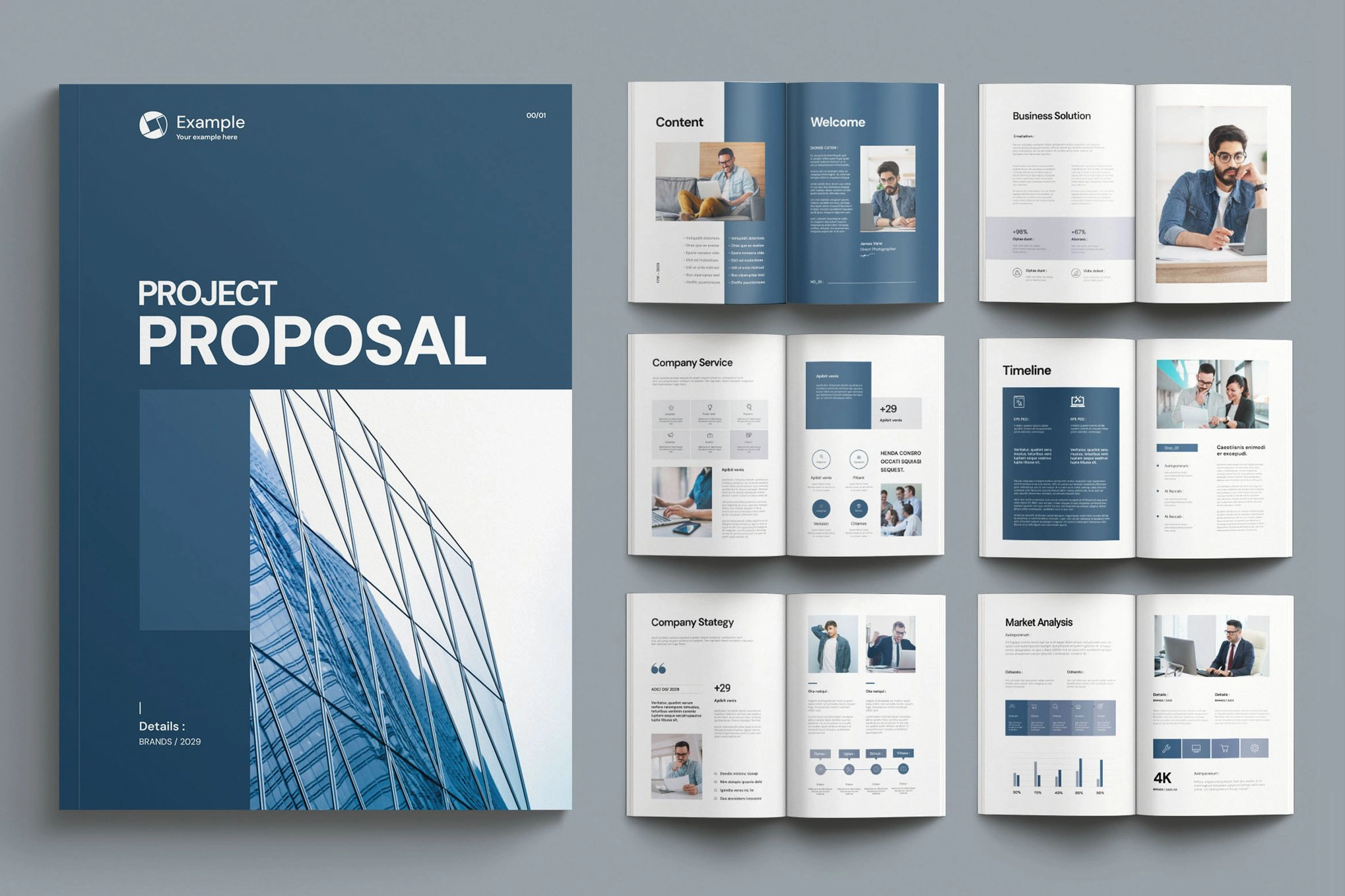公司产品项目建议书InDesign模板
