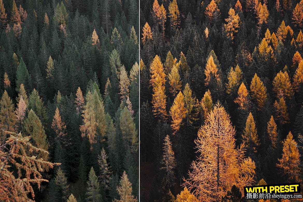 秋季电影风光LR预设手机lr预设ARTA Presets-Fall Season Presets