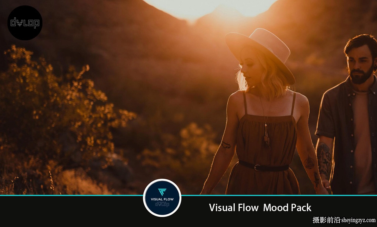 情绪电影婚礼人像Lightroom预设 DVLOP - Visual Flow - Mood Pack