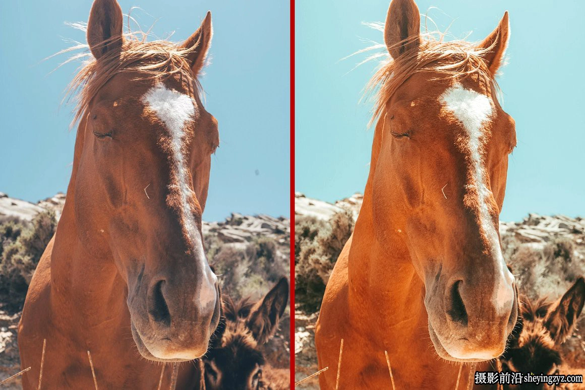 电影仿真胶片Lightroom预设 Queen Of The RODEO| Cowgirls Preset