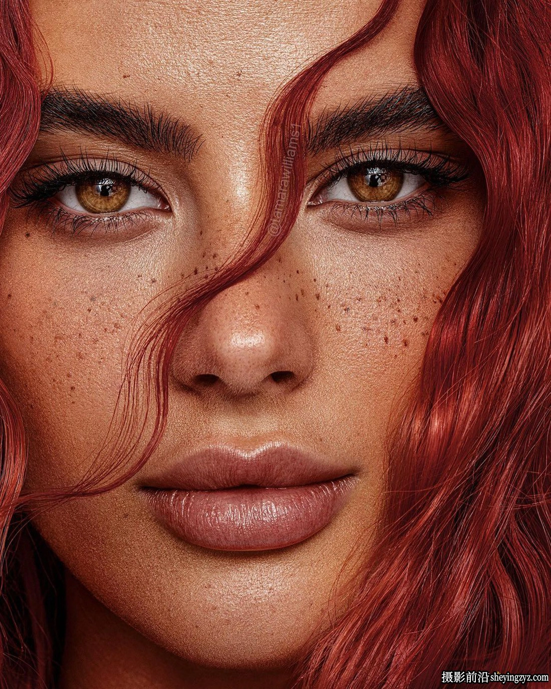 完美质感人像修饰LR预设ACR调色预设 Tamara Williams Skin Preset