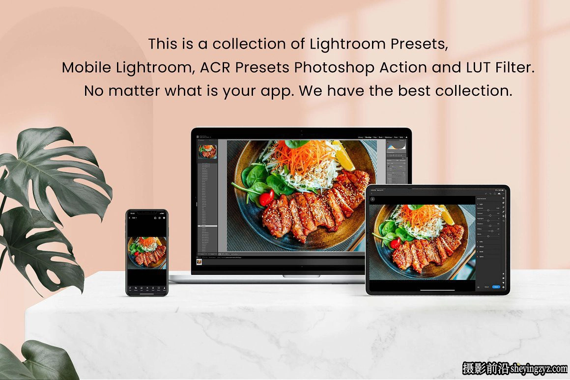 美食摄影后期调色LR预设LUT预设ACR预设 Food Lightroom Presets
