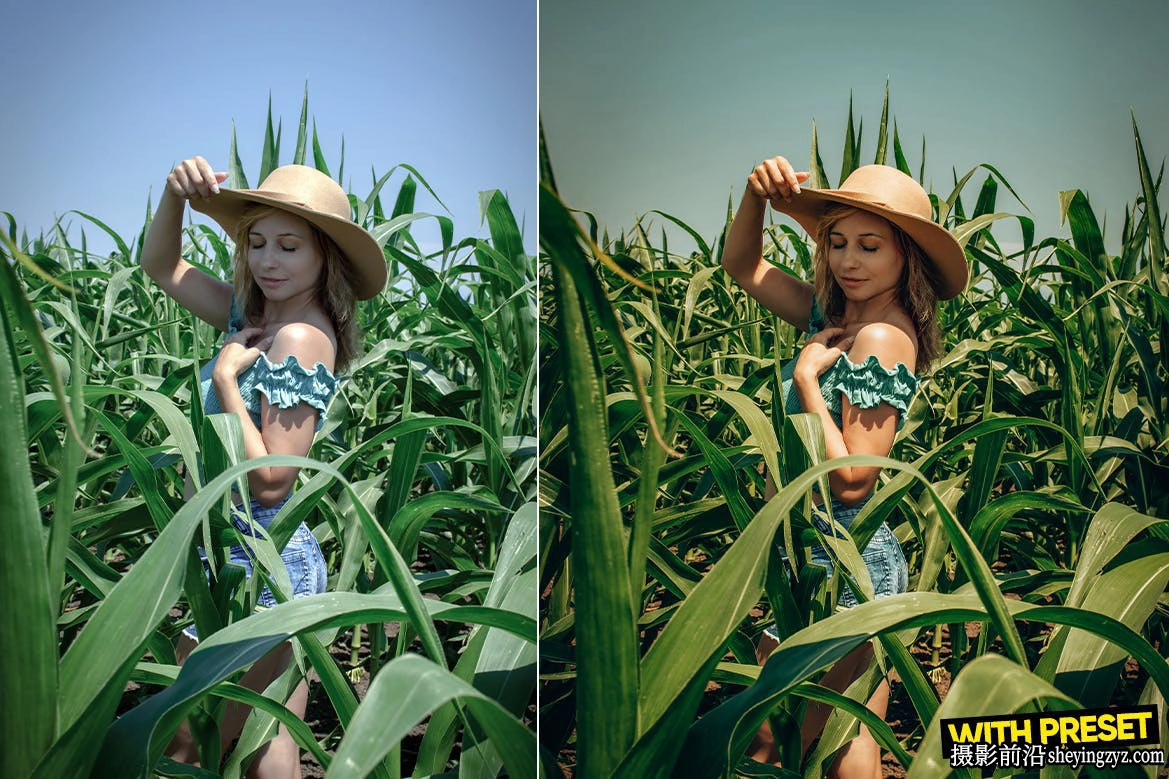 情绪版电影人像LR预设手机lr预设ARTA Presets-Warm Light Presets