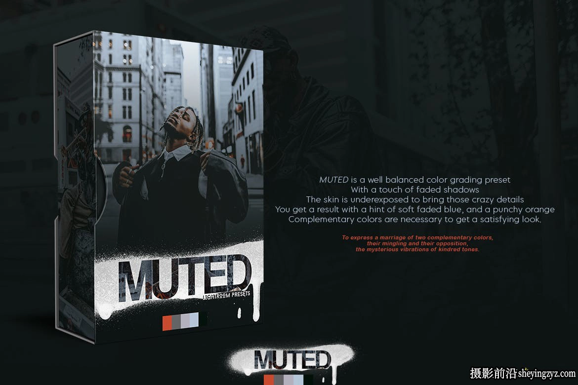 街拍时尚电影外观一键LR预设手机版lr预设 Muted Lightroom Presets