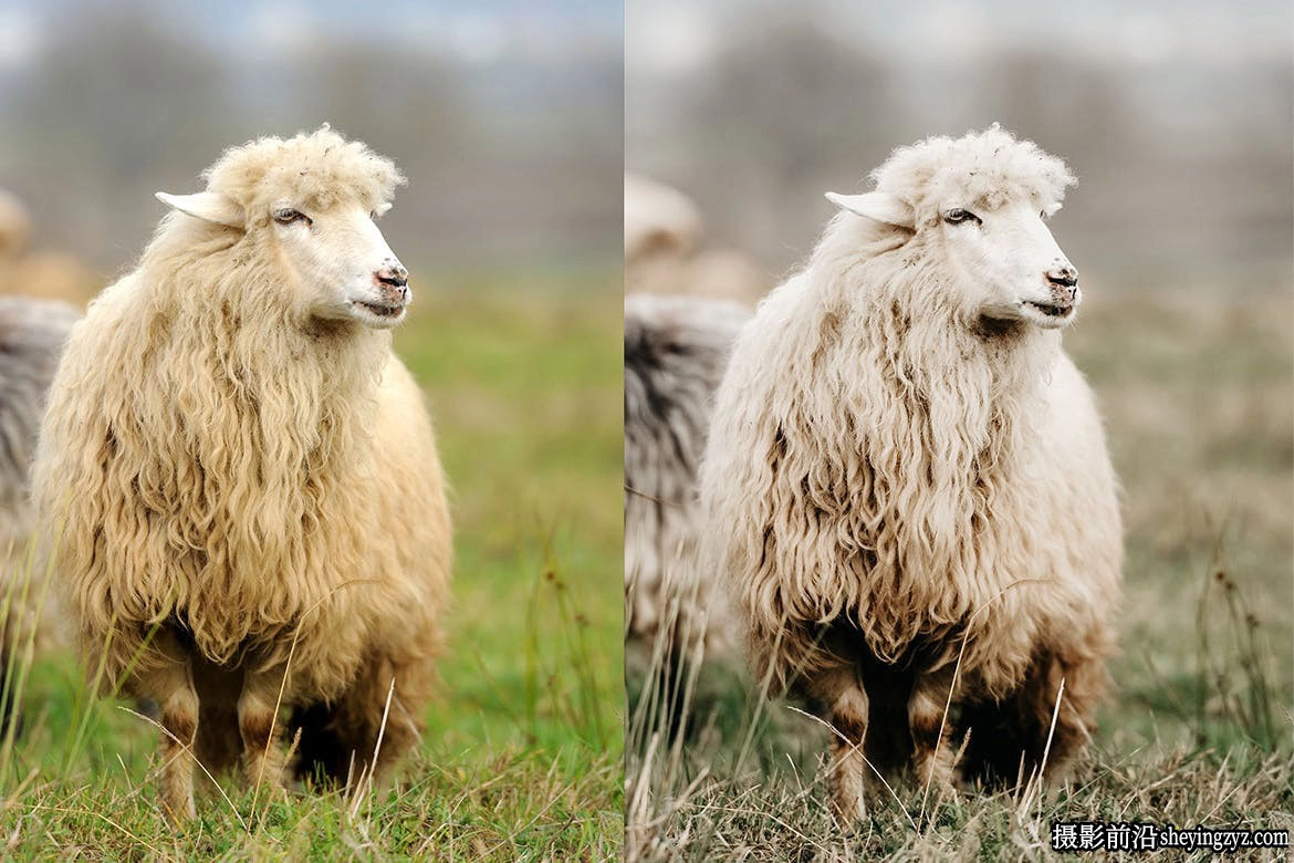 乡村摄影免费LR预设手机LR预设Country Living Lightroom Presets