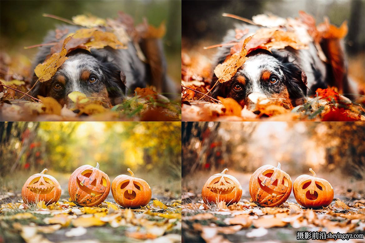 秋季人像风光LR预设手机lr预设Cozy Fall Vol.2 Lightroom Presets