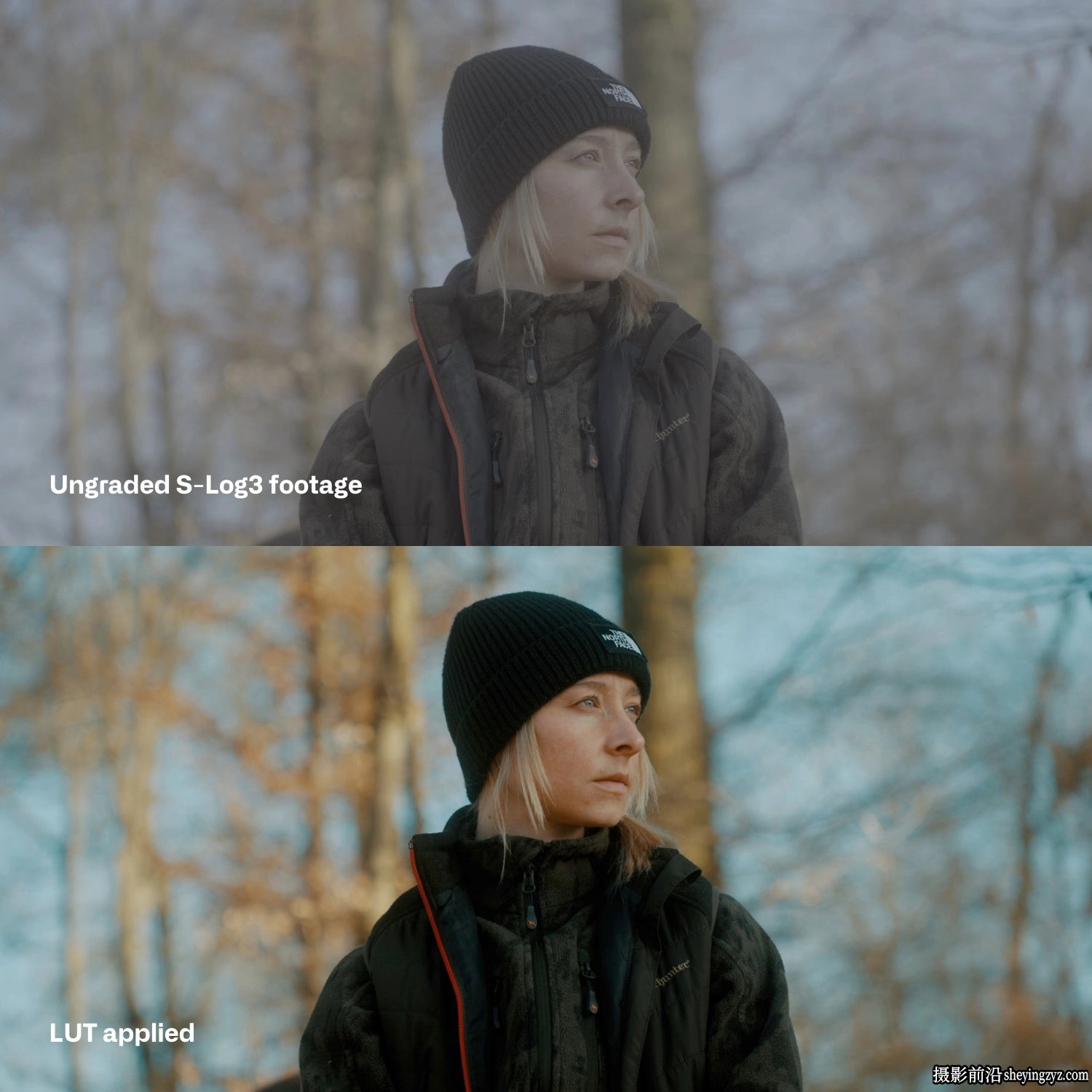 Sony S-Log3电影感氛围LUTS预设Cinem8–Sony S-Log3 Cinematic LUT