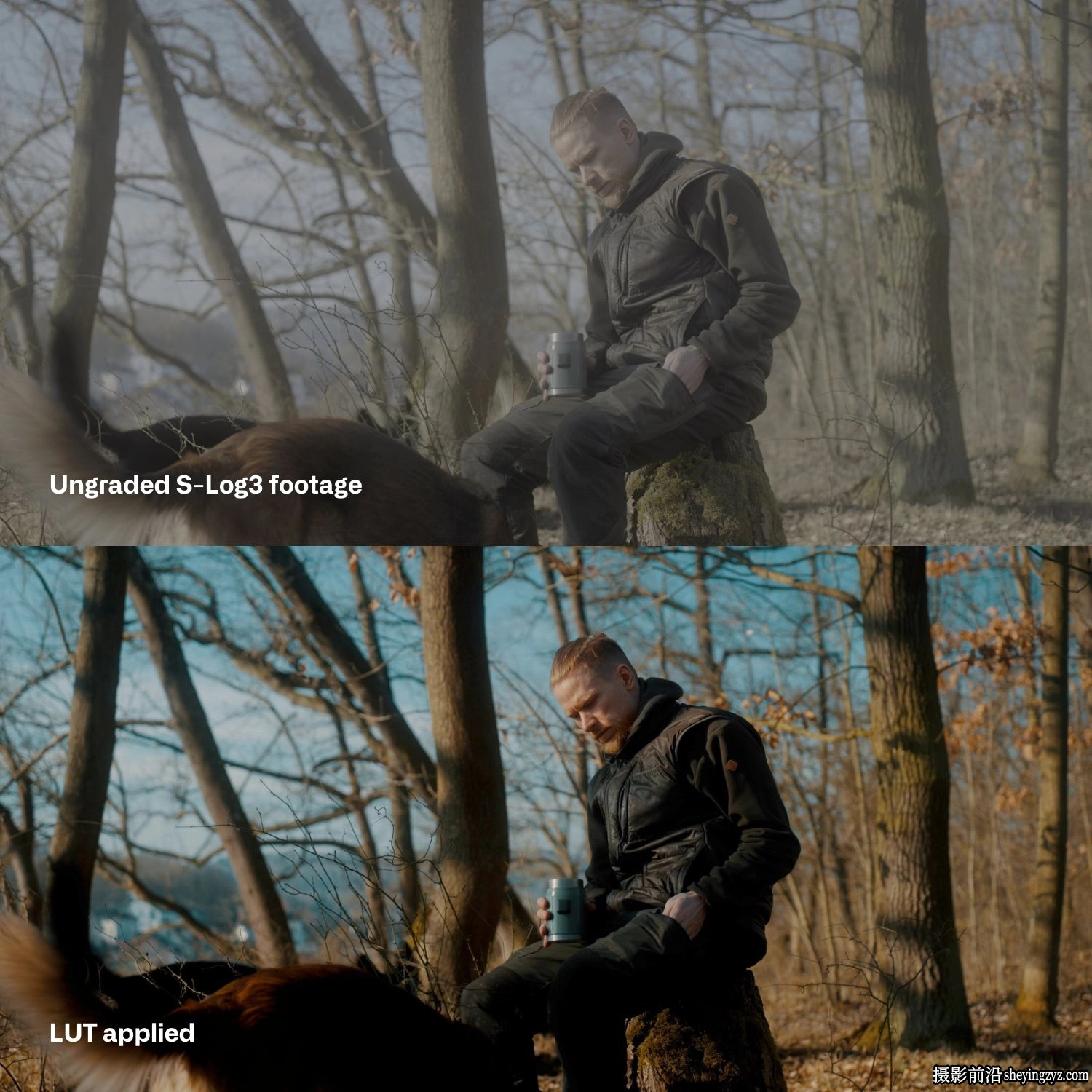 Sony S-Log3电影感氛围LUTS预设Cinem8–Sony S-Log3 Cinematic LUT
