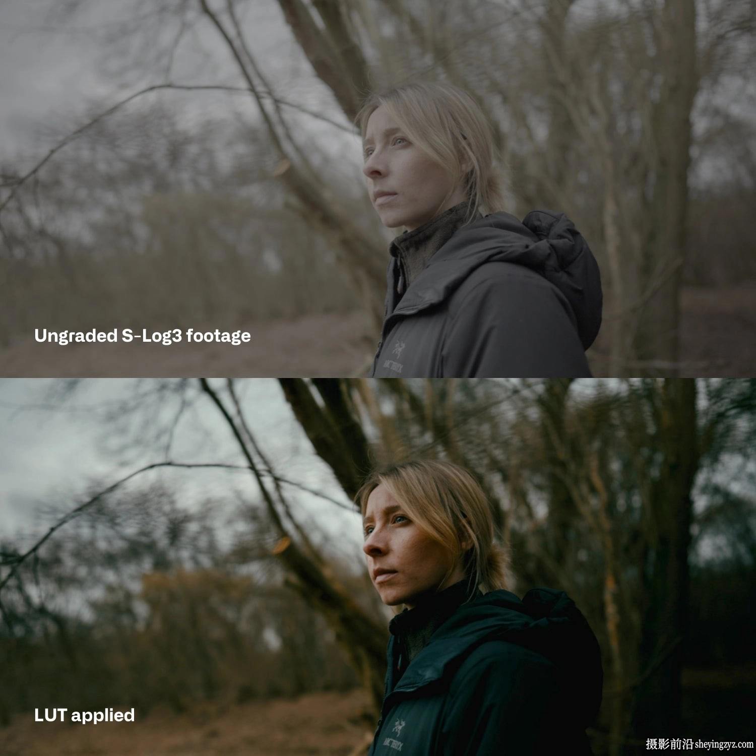 Sony S-Log3电影感氛围LUTS预设Cinem8–Sony S-Log3 Cinematic LUT
