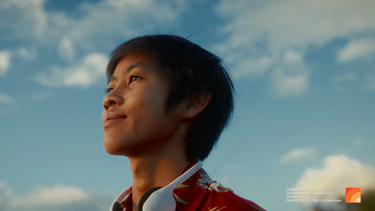 电影模拟达芬奇节点+LUT预设 FilmyColor – Filmy PowerGrade+LUTs