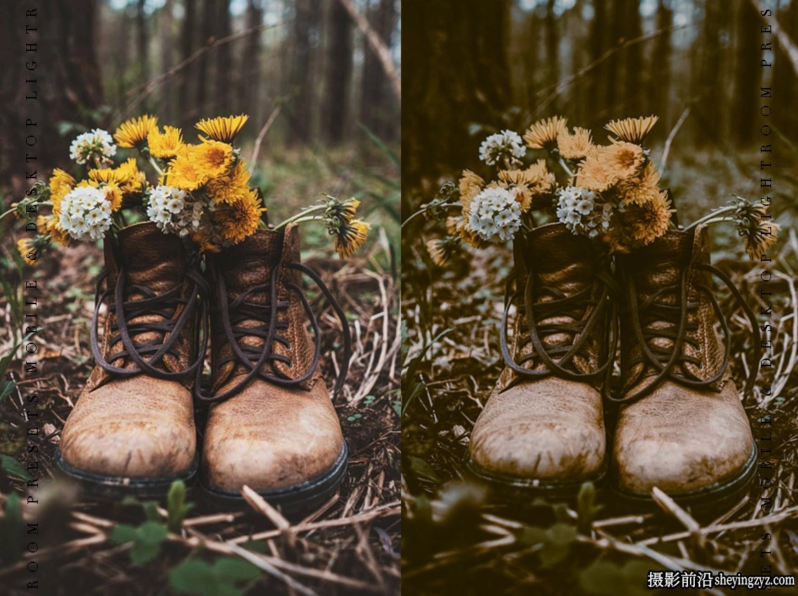 100种LR预设及手机LR预设合集THE BUNDLE 100- Lightroom Presets
