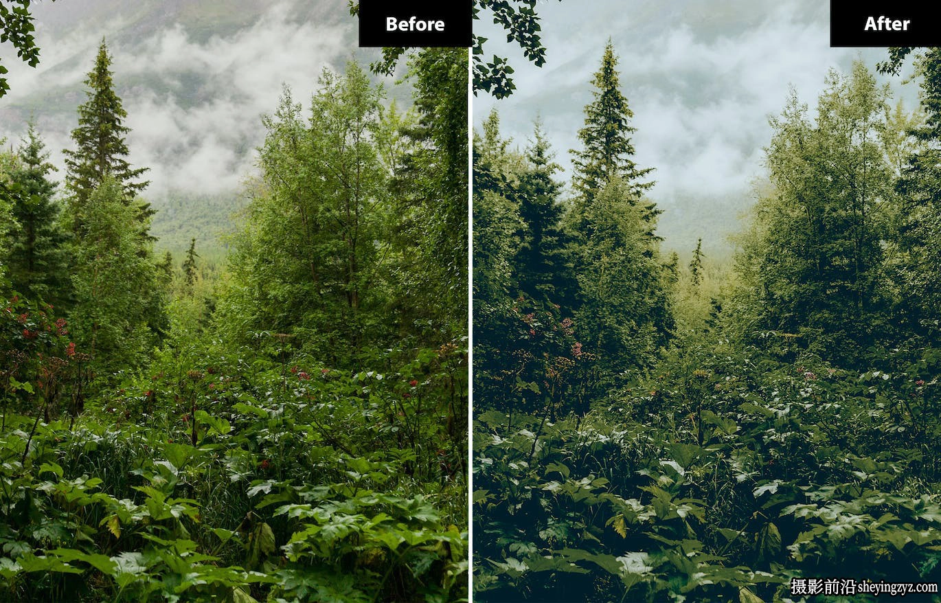 旅拍电影风光调色LR预设手机LR预设 Landscape Lightroom presets