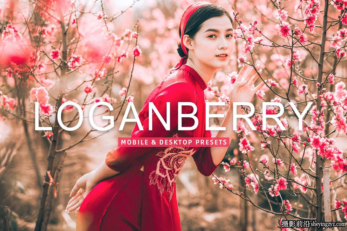 免费LR预设-电影胶片LR预设手机预设 Loganberry Lightroom Presets