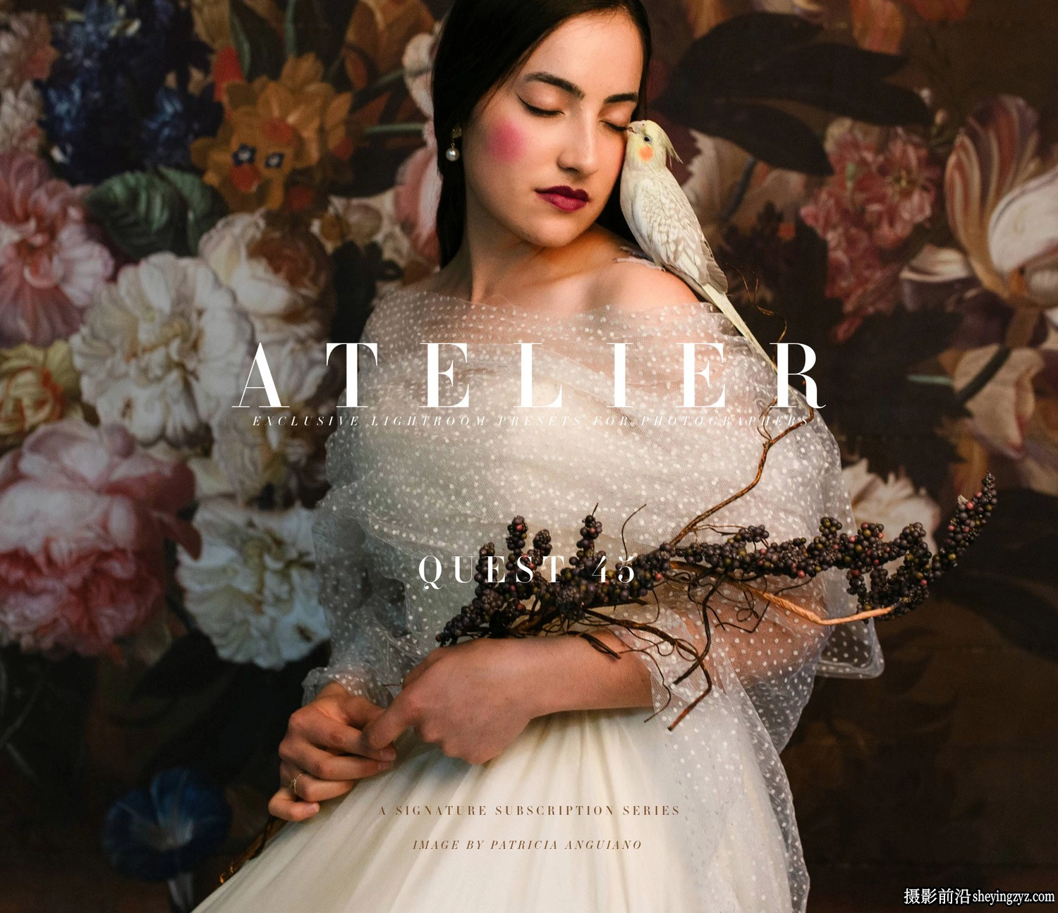 Archipelago Quest45-工作室人像LR预设 QUEST 45–Atelier Presets
