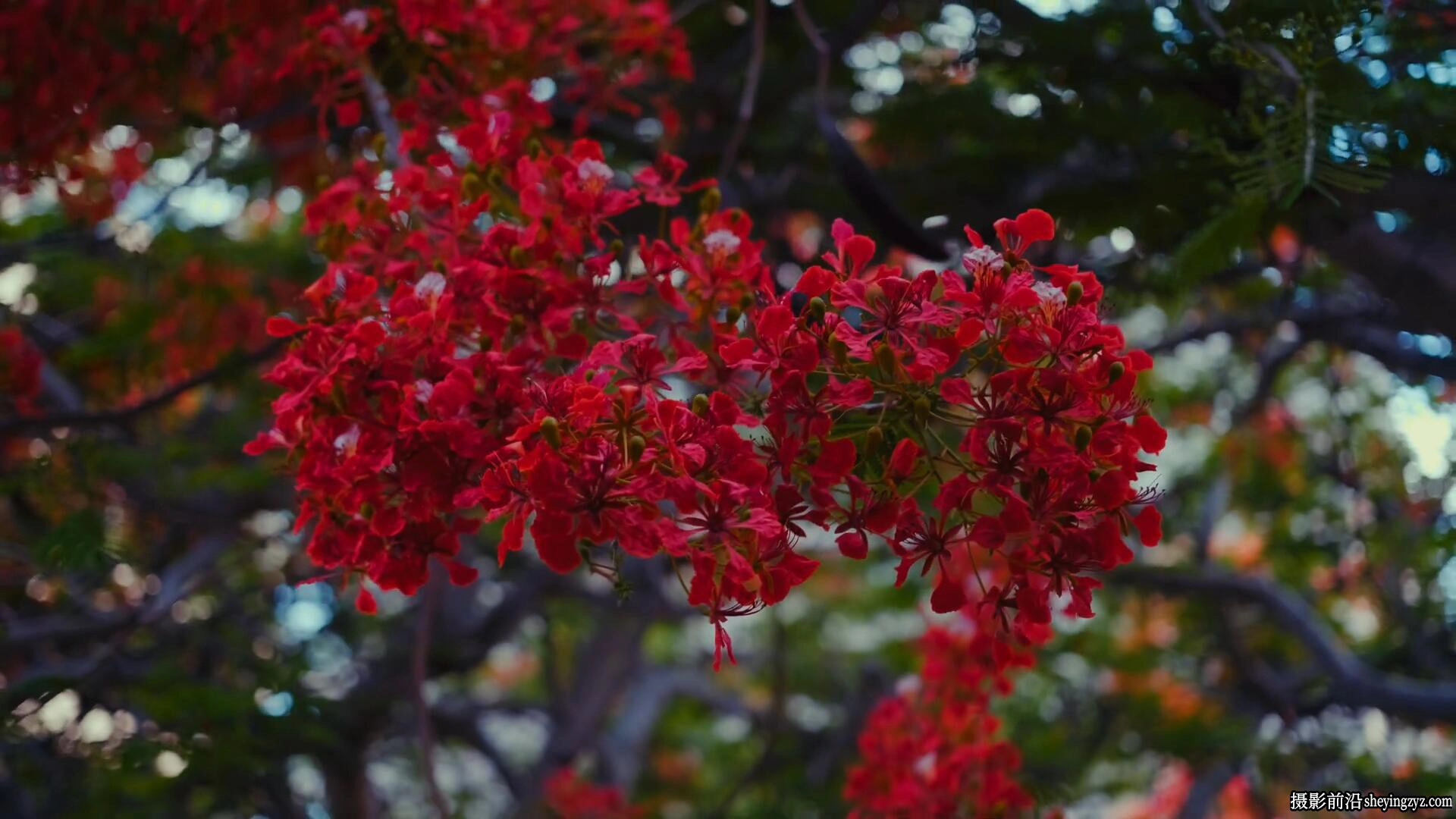 柯达/富士胶片仿真达芬奇节点Classic Film Emulation PowerGrades