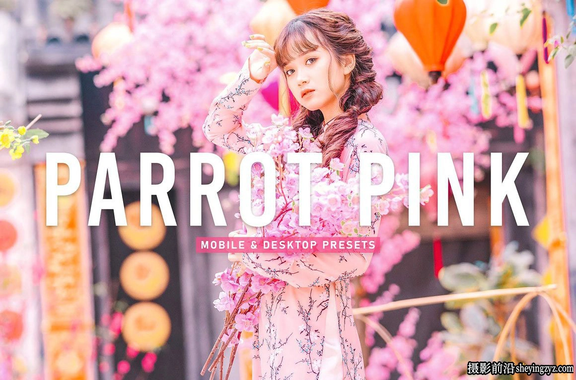 粉彩古装人像调色LR预设手机预设Parrot Pink Pro Lightroom Presets