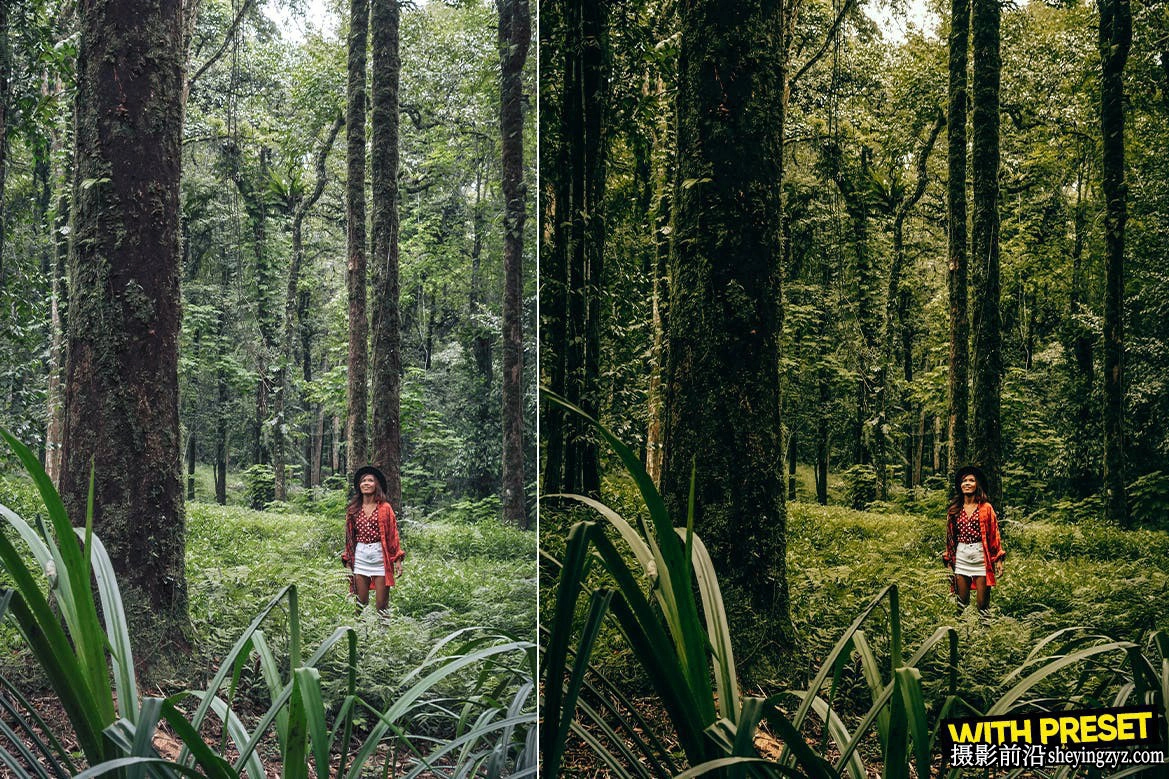 旅拍电影风光LR预设手机LR预设 Forest Green Lightroom Presets